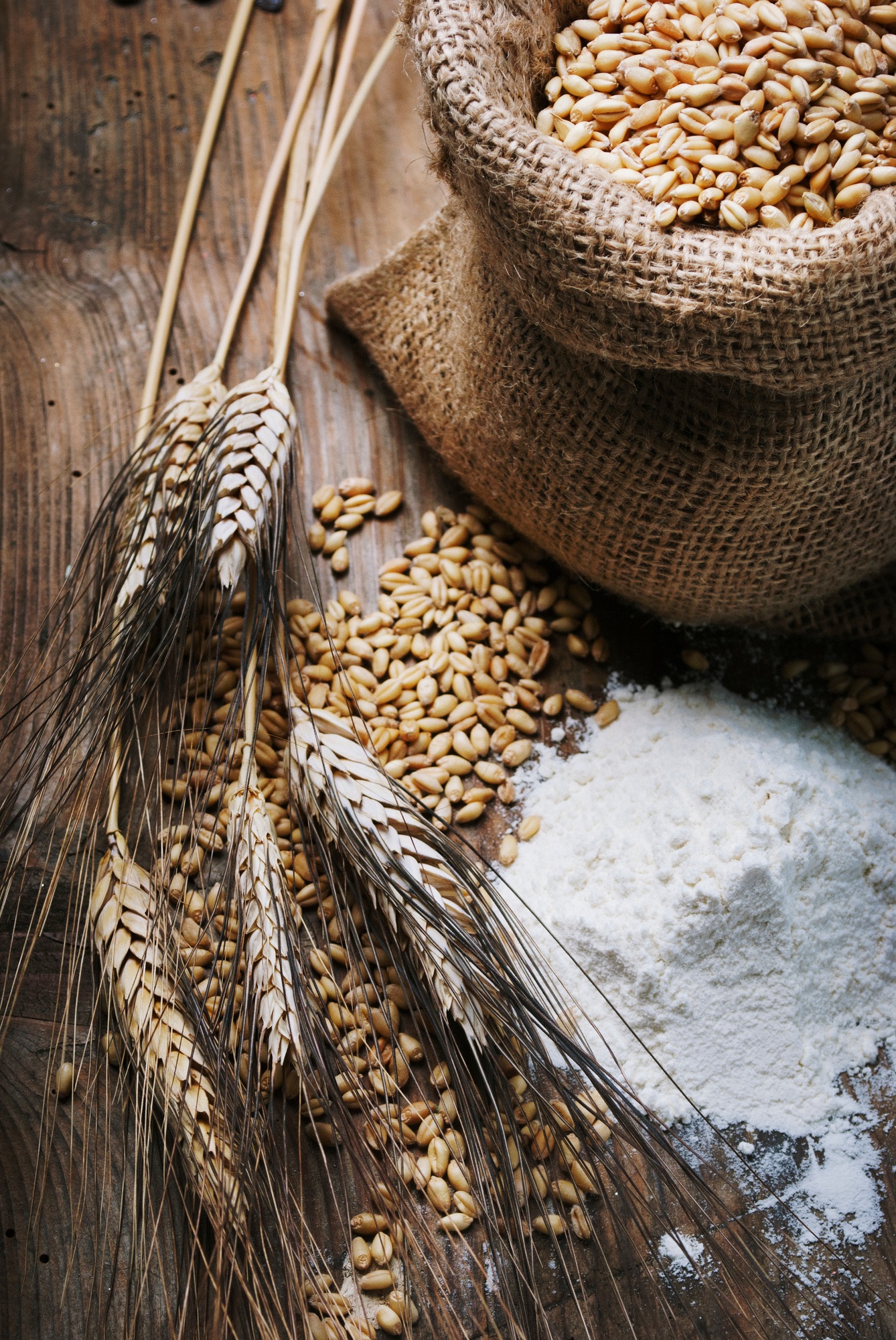 Wheat ears and flour